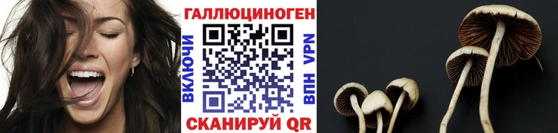 купить  сайты  Нижний Новгород  Галлюциногенные грибы прущие грибы 