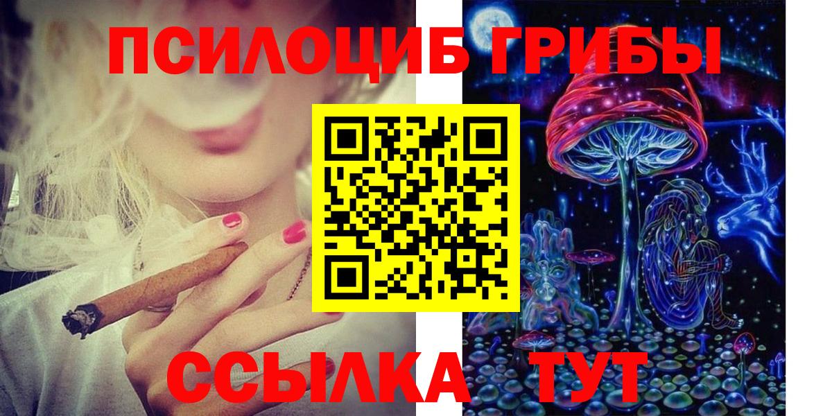 Псилоцибиновые грибы Psilocybe  Вход с VPN  Нижний Новгород 